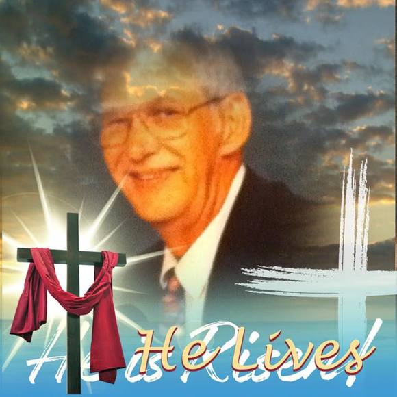 Meet your Posher, Georgianna - Picture 1 of 1